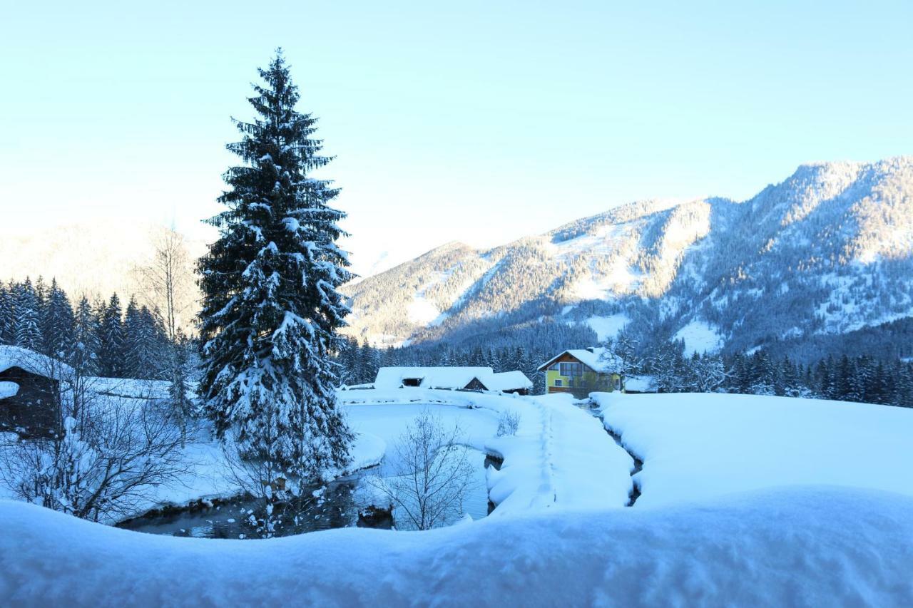 Ferienhaus Am Muehlbach Gams bei Hieflau Εξωτερικό φωτογραφία