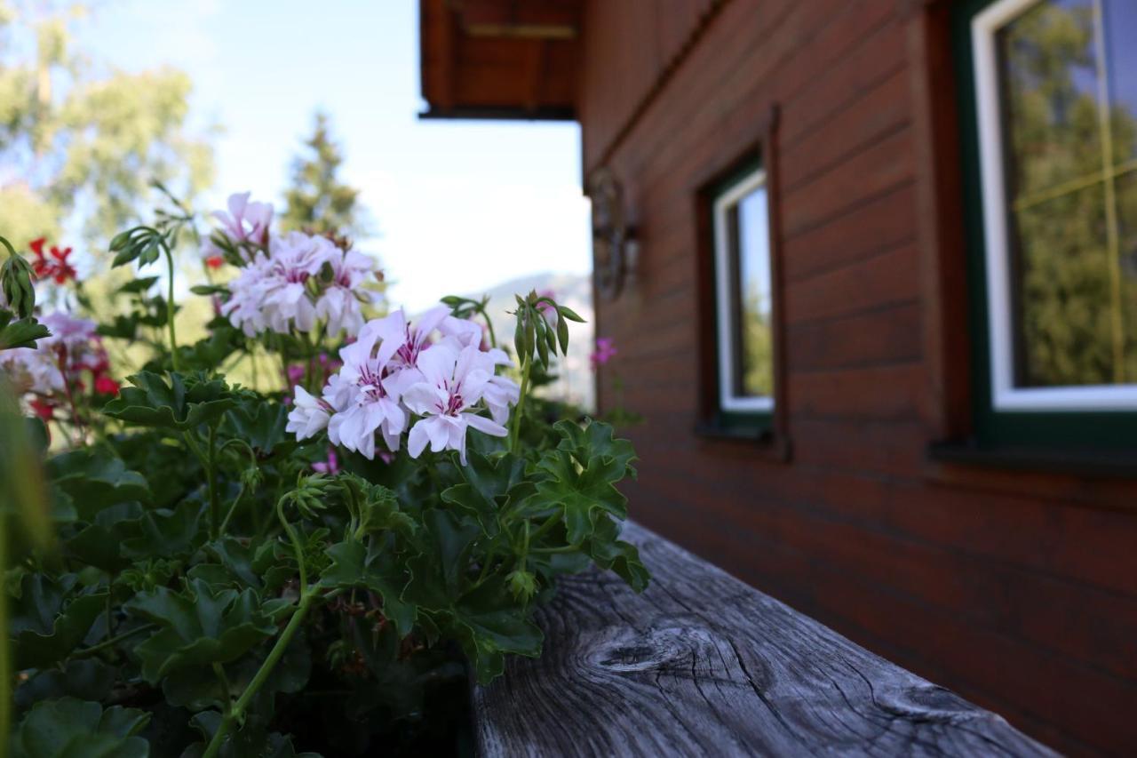 Ferienhaus Am Muehlbach Gams bei Hieflau Εξωτερικό φωτογραφία